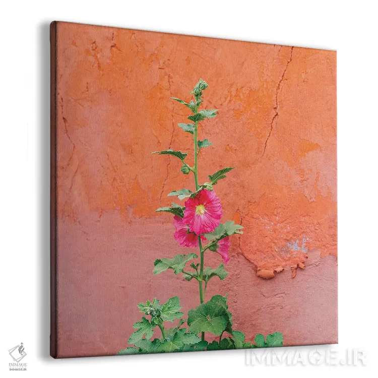 تابلو گلهای سانتافه ۲ اثر بثانی یانگ - نمای پرسپکتیو محصول