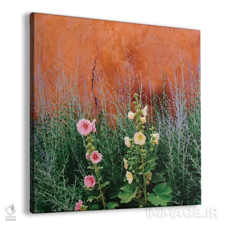 تابلو گلهای سانتافه اثر بثانی یانگ - نمای پرسپکتیو محصول