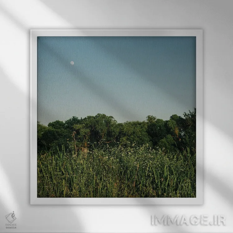 تابلو ماه تابستانی ۳ اثر بثانی یانگ - نمای قابدار سفید