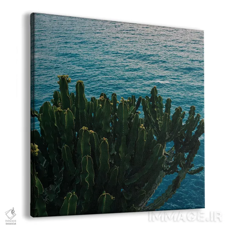 تابلو کاکتوس ساحل آمالفی شماره دو اثر بثانی یانگ - نمای پرسپکتیو محصول