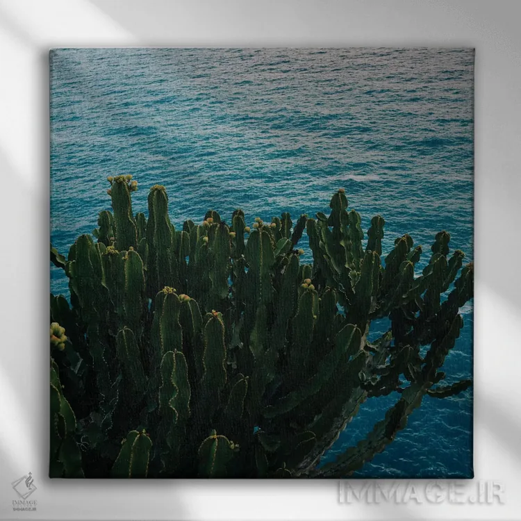 تابلو کاکتوس ساحل آمالفی شماره دو اثر بثانی یانگ - نمای روبهرو روی دیوار