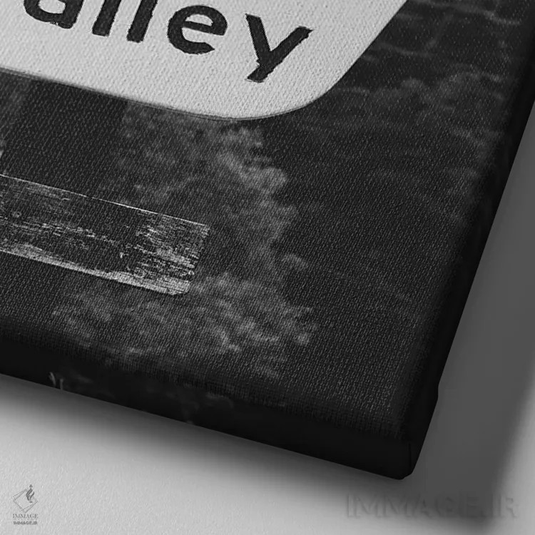 تابلو دره اسکی تائوس ۲ اثر بثانی یانگ - نمای نزدیک بافت بوم