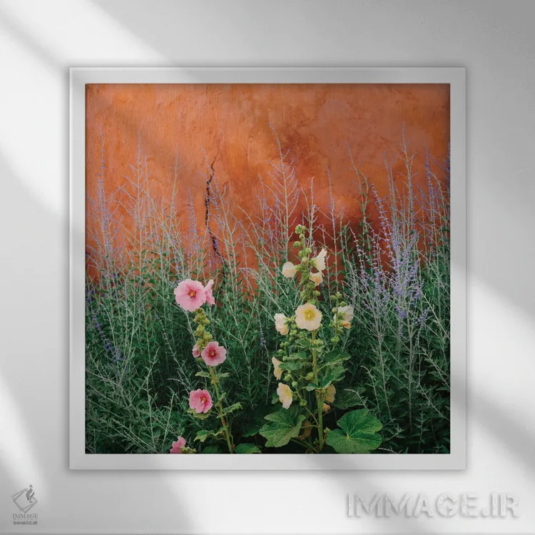 تابلو گلهای سانتافه اثر بثانی یانگ - نمای قابدار سفید