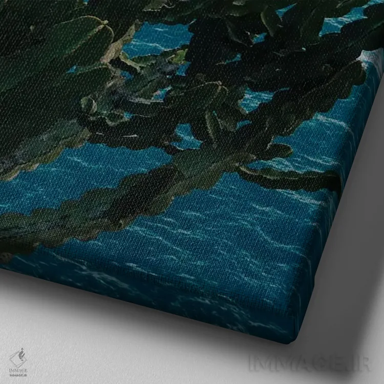 تابلو کاکتوس ساحل آمالفی شماره دو اثر بثانی یانگ - نمای نزدیک بافت بوم