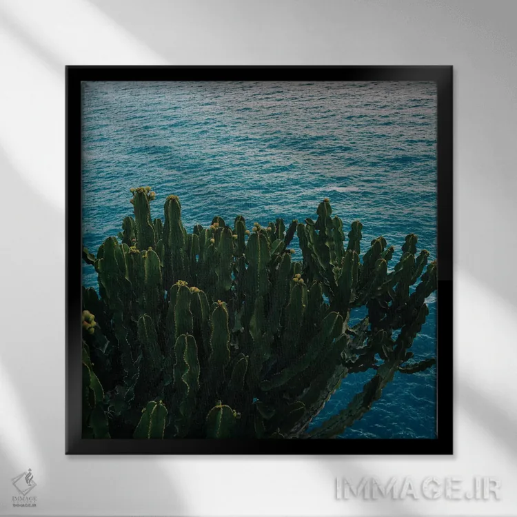 تابلو کاکتوس ساحل آمالفی شماره دو اثر بثانی یانگ - نمای قابدار مشکی