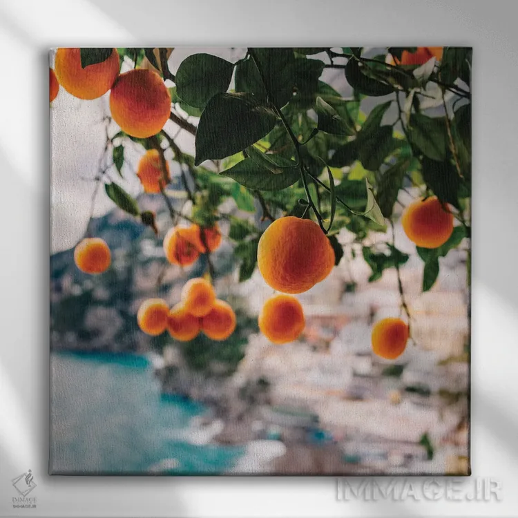 تابلو پرتقالهای ساحل آمالفی شماره یک اثر بثانی یانگ - نمای روبهرو روی دیوار