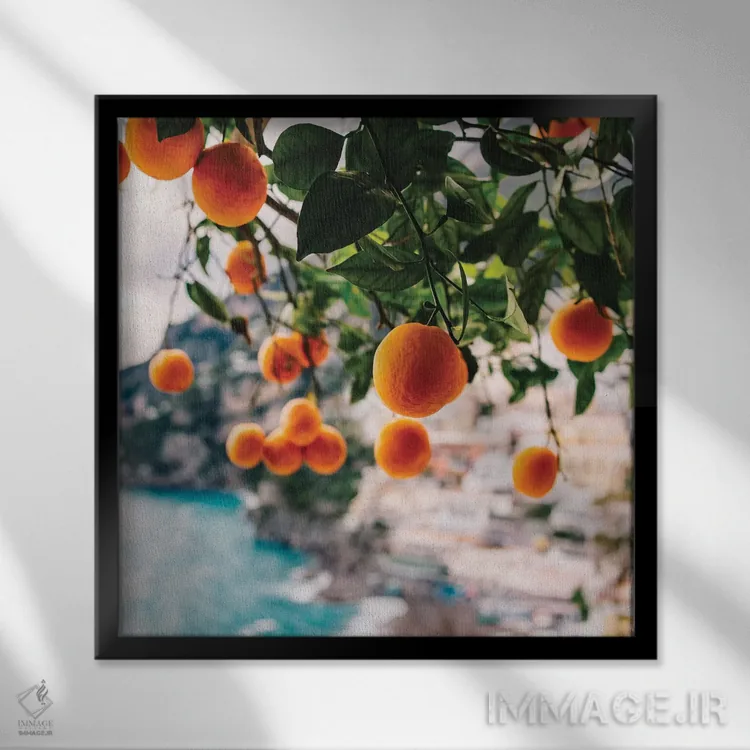 تابلو پرتقالهای ساحل آمالفی شماره یک اثر بثانی یانگ - نمای قابدار مشکی