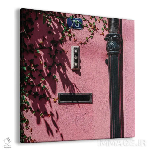 تابلو صورتی چارلستون XIX اثر بثانی یانگ - نمای پرسپکتیو محصول