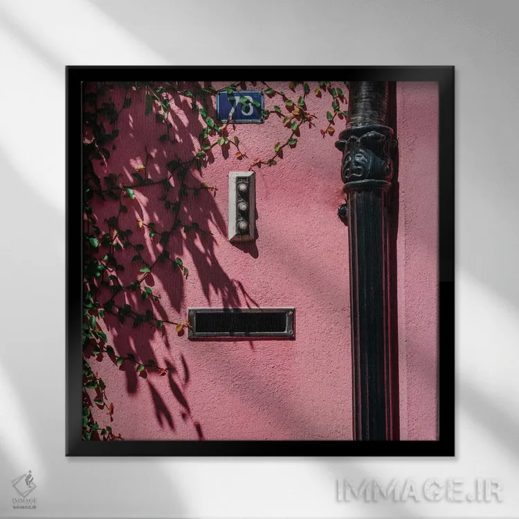 تابلو صورتی چارلستون XIX اثر بثانی یانگ - نمای قابدار مشکی