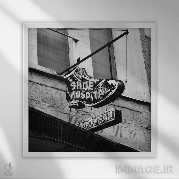 تابلو معماری آلاباما ۹ اثر بثانی یانگ - نمای قابدار سفید