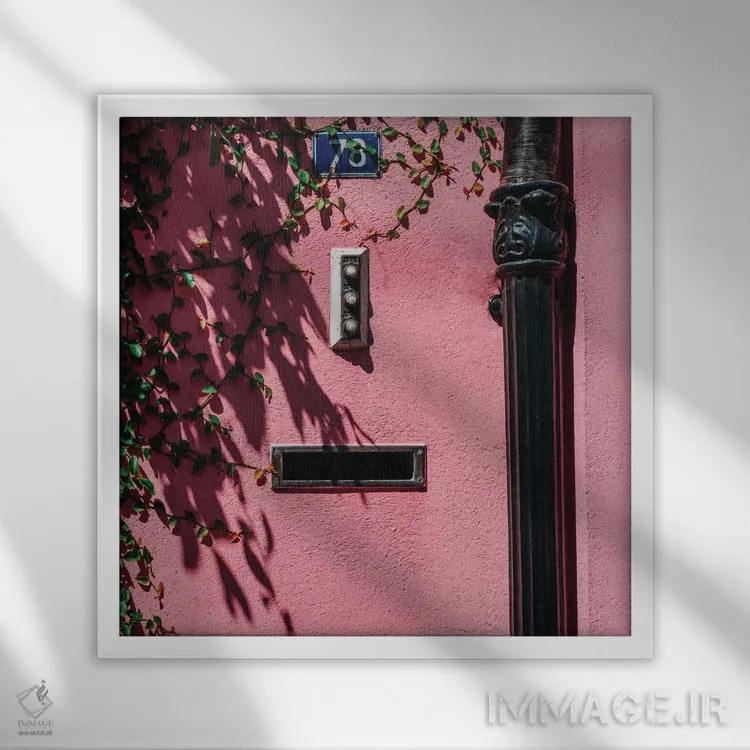 تابلو صورتی چارلستون XIX اثر بثانی یانگ - نمای قابدار سفید