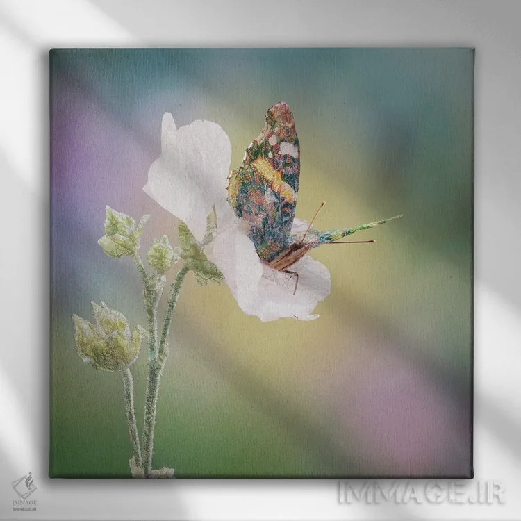 تابلو پروانهٔ بوهو اثر بابت ون دن برگ - نمای روبهرو روی دیوار