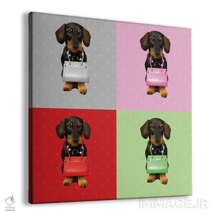 تابلو تخته داکسهوند (سگ) اثر بابت ون دن برگ - نمای پرسپکتیو محصول