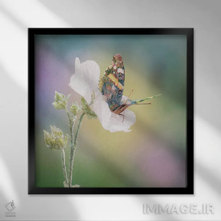 تابلو پروانهٔ بوهو اثر بابت ون دن برگ - نمای قابدار مشکی