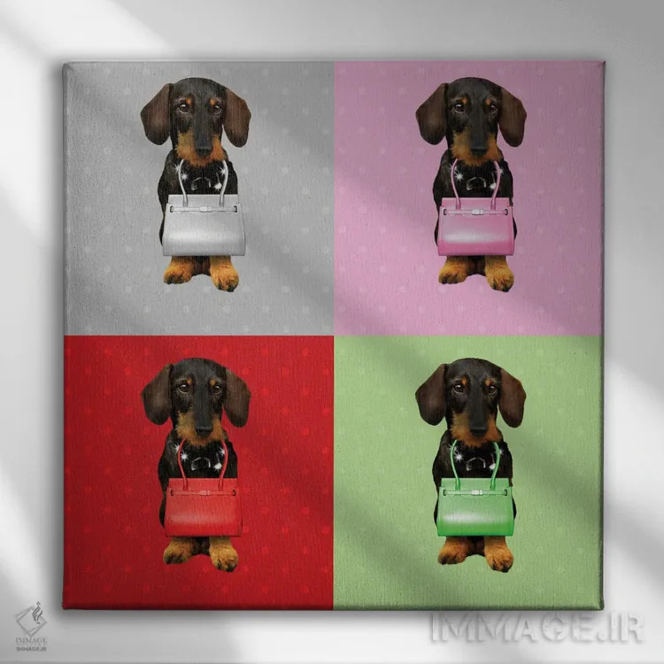 تابلو تخته داکسهوند (سگ) اثر بابت ون دن برگ - نمای روبهرو روی دیوار