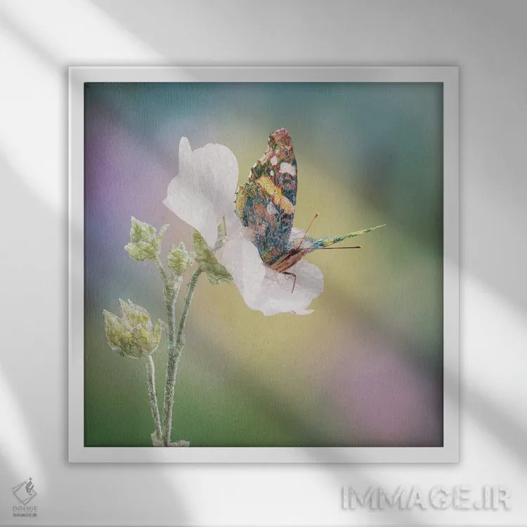 تابلو پروانهٔ بوهو اثر بابت ون دن برگ - نمای قابدار سفید