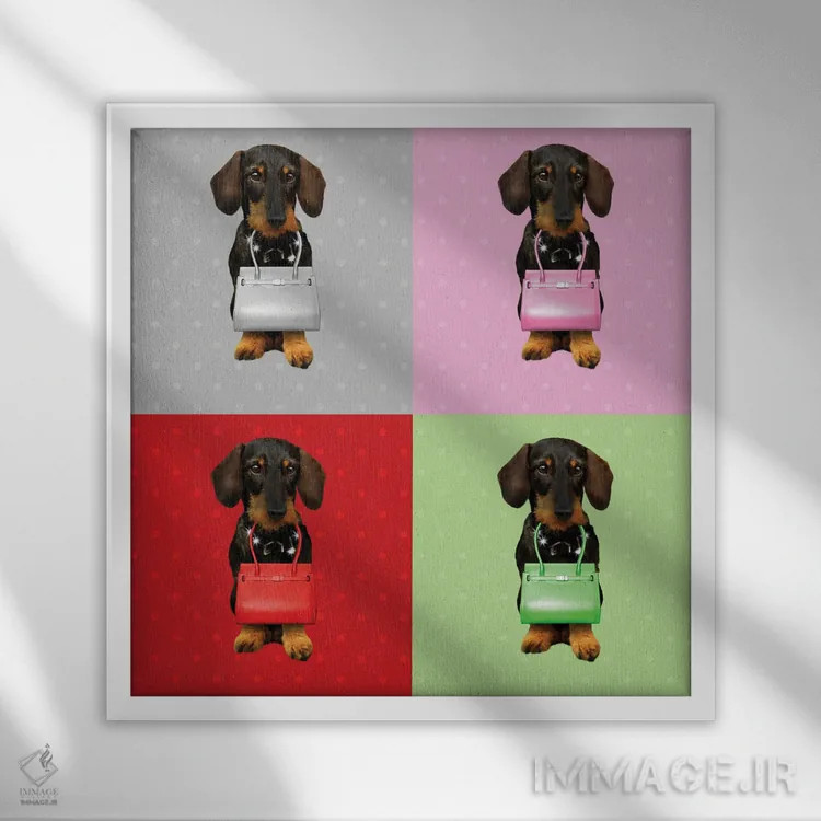 تابلو تخته داکسهوند (سگ) اثر بابت ون دن برگ - نمای قابدار سفید