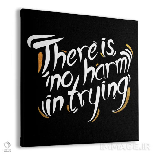 تابلو تلاشت هیچ ضرری ندارد IV اثر فایو بای فایو کالکتیو - نمای پرسپکتیو محصول