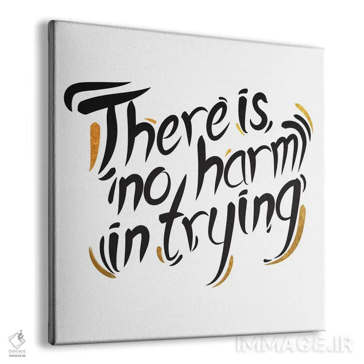 تابلو تلاشت هیچ ضرری ندارد III اثر فایو بای فایو کالکتیو - نمای پرسپکتیو محصول