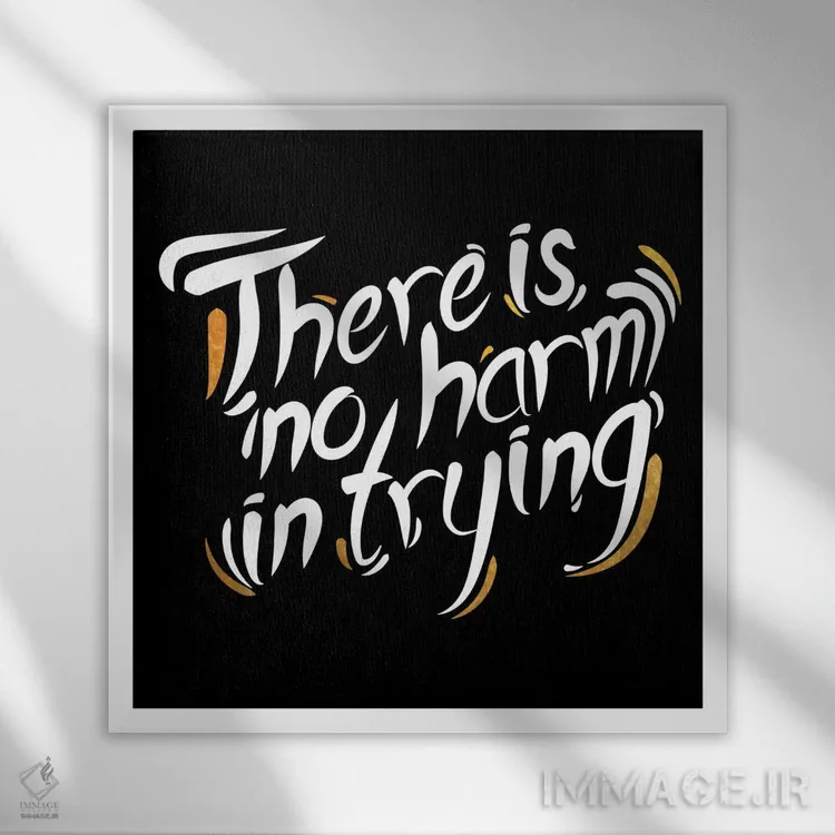 تابلو تلاشت هیچ ضرری ندارد IV اثر فایو بای فایو کالکتیو - نمای قابدار سفید