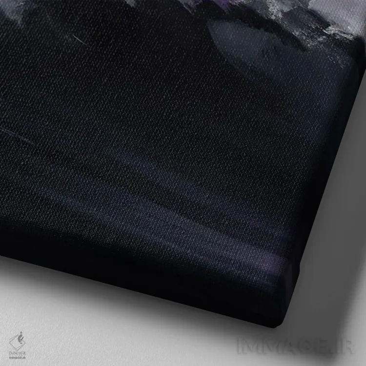 تابلو دریادار اثر بُژنا فوخس - نمای نزدیک بافت بوم