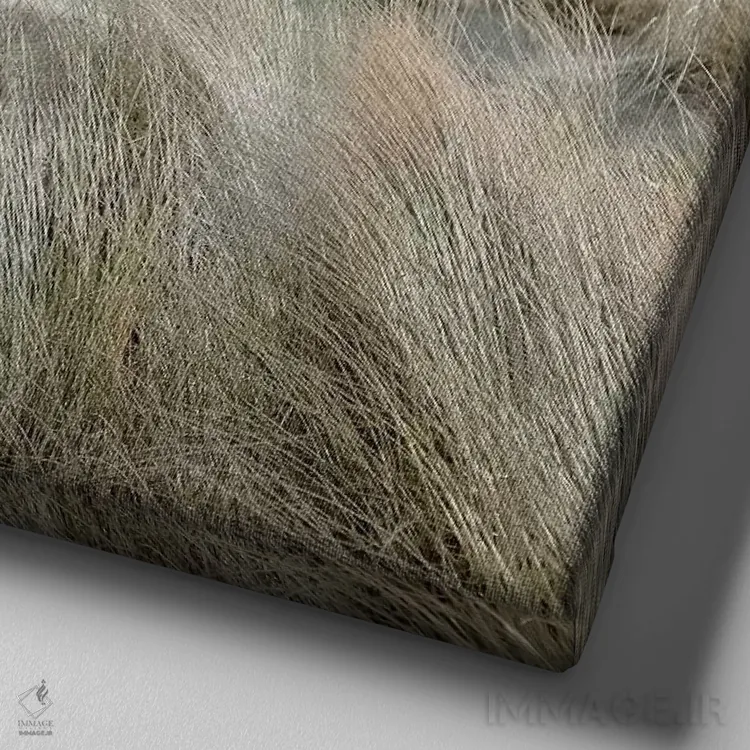 تابلو بادزده I اثر مایک کالاسیبتا - نمای نزدیک بافت بوم