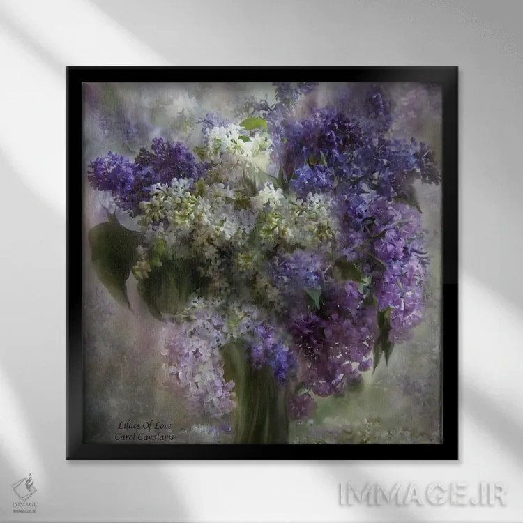 تابلو یاسهای بنفش عشق اثر کارول کاوالاریس - نمای قابدار مشکی