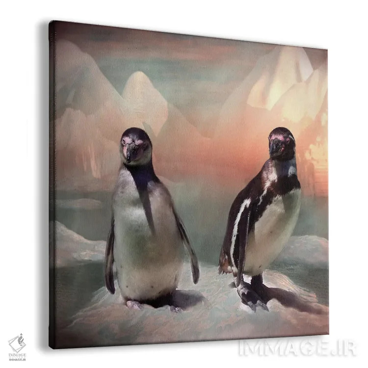 تابلو درخشش گلسرخی اثر کارول کاوالاریس - نمای پرسپکتیو محصول