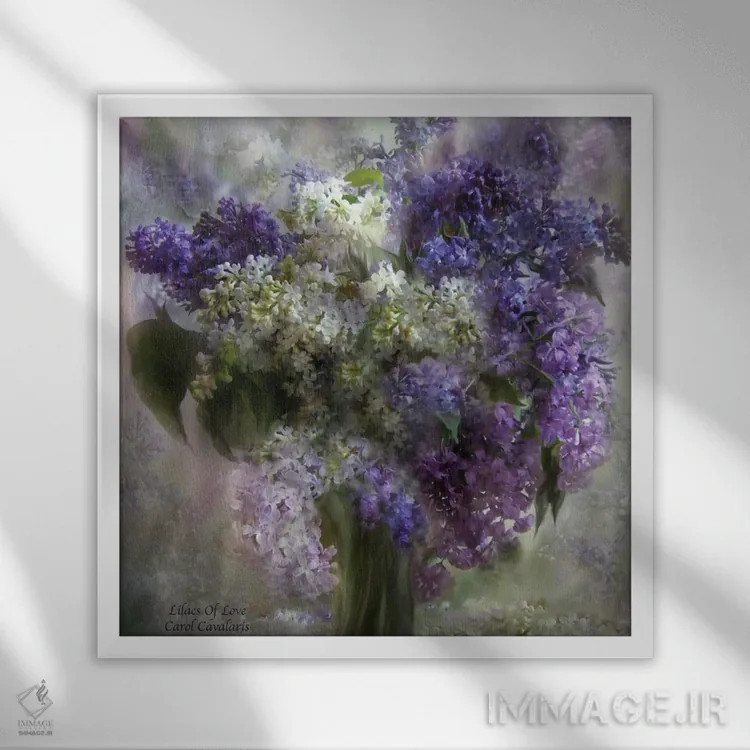 تابلو یاسهای بنفش عشق اثر کارول کاوالاریس - نمای قابدار سفید