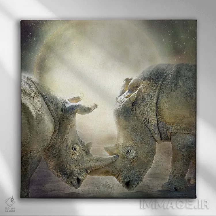 تابلو عشق کرگدنها اثر کارول کاوالاریس - نمای روبهرو روی دیوار