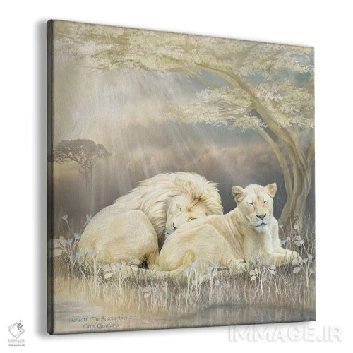 تابلو شیر سفید اثر کارول کاوالاریس - نمای پرسپکتیو محصول