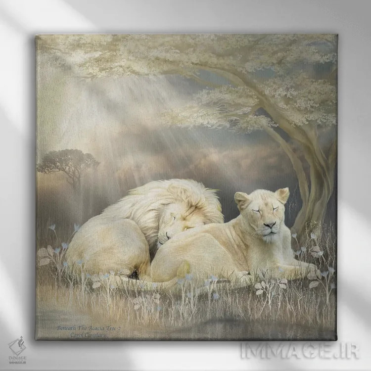 تابلو شیر سفید اثر کارول کاوالاریس - نمای روبهرو روی دیوار