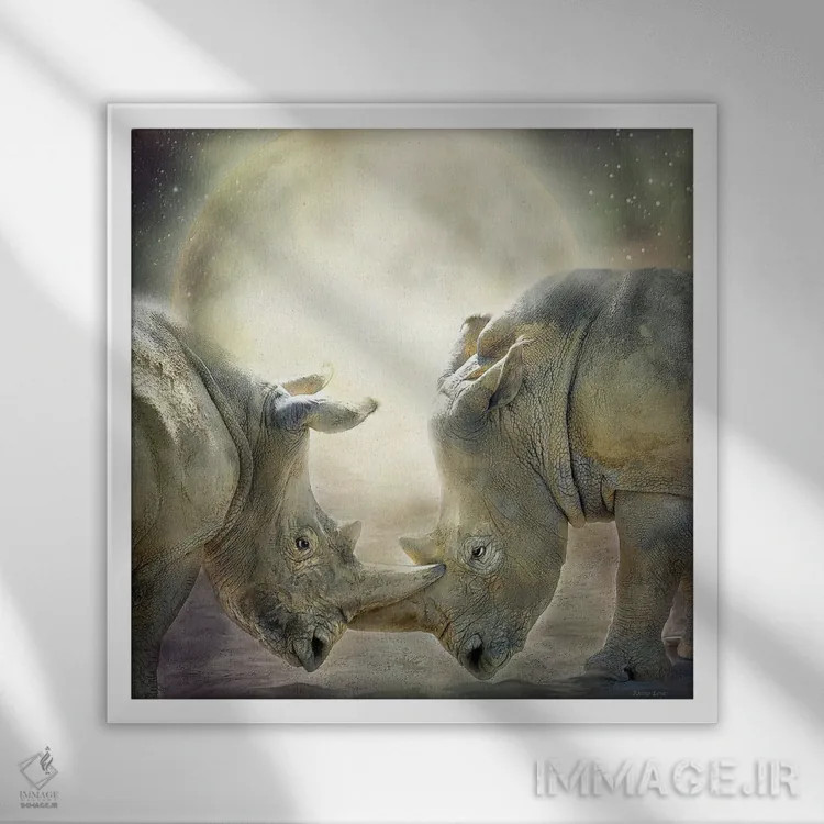 تابلو عشق کرگدنها اثر کارول کاوالاریس - نمای قابدار سفید