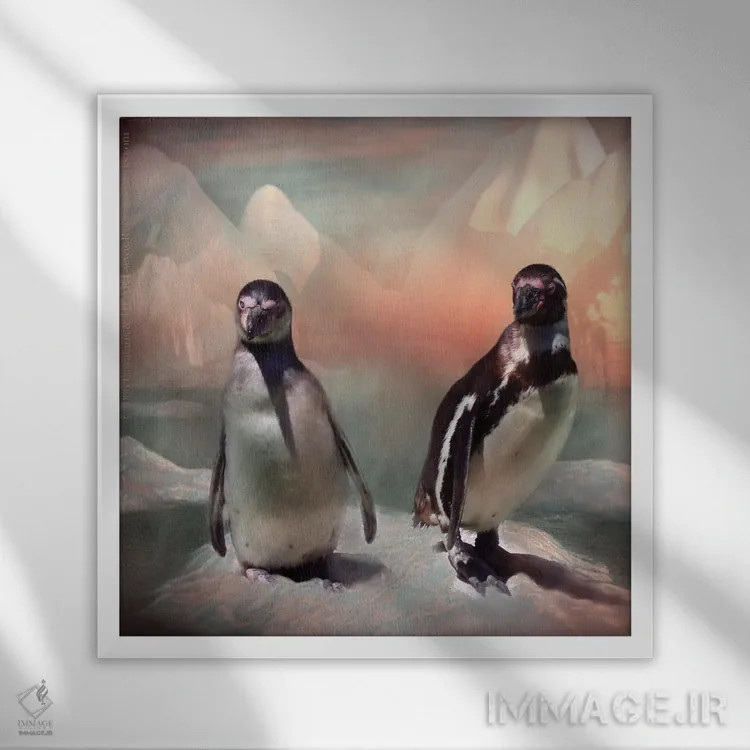 تابلو درخشش گلسرخی اثر کارول کاوالاریس - نمای قابدار سفید