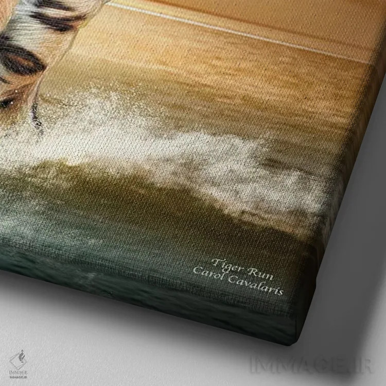 تابلو دویدن ببر اثر کارول کاوالاریس - نمای نزدیک بافت بوم