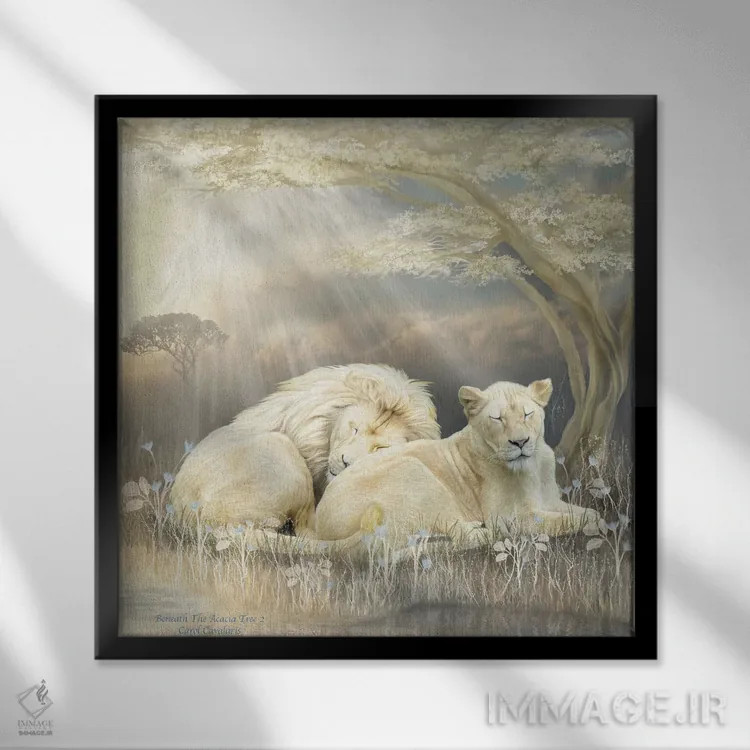 تابلو شیر سفید اثر کارول کاوالاریس - نمای قابدار مشکی