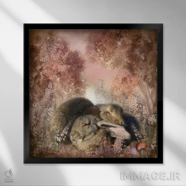 تابلو رویاهای خرگوش اثر کارول کاوالاریس - نمای قابدار مشکی