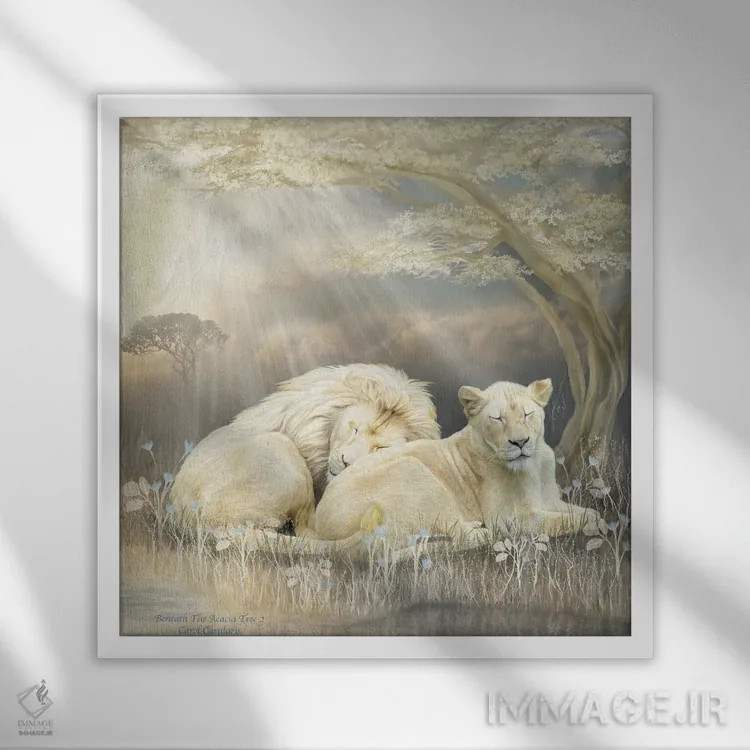 تابلو شیر سفید اثر کارول کاوالاریس - نمای قابدار سفید