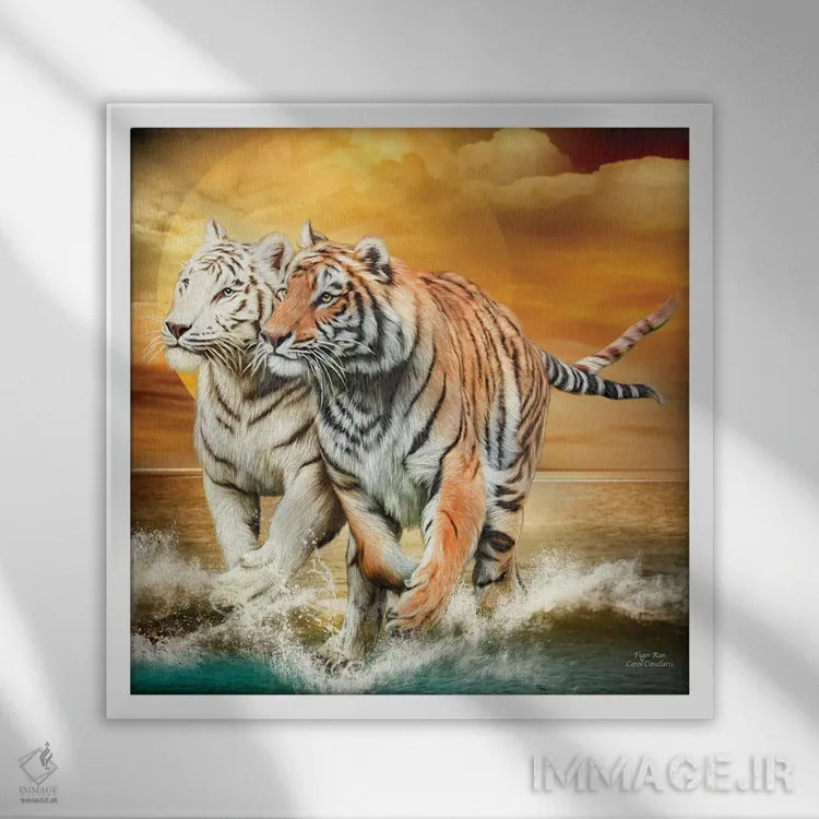 تابلو دویدن ببر اثر کارول کاوالاریس - نمای قابدار سفید