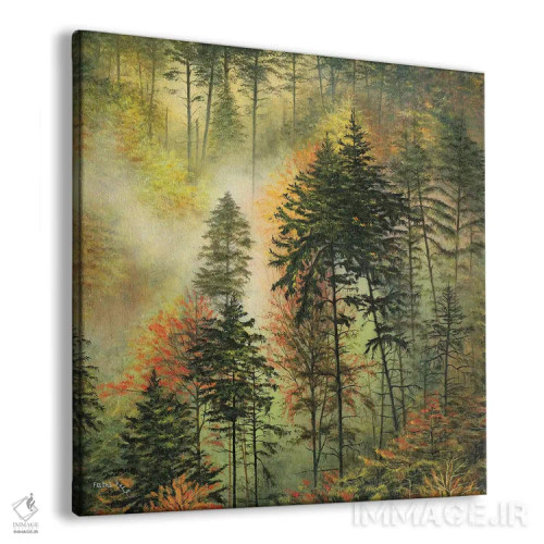 تابلو شکوه شمال غربی اثر کالر بای فلیکز (نام هنرمند) - نمای پرسپکتیو محصول