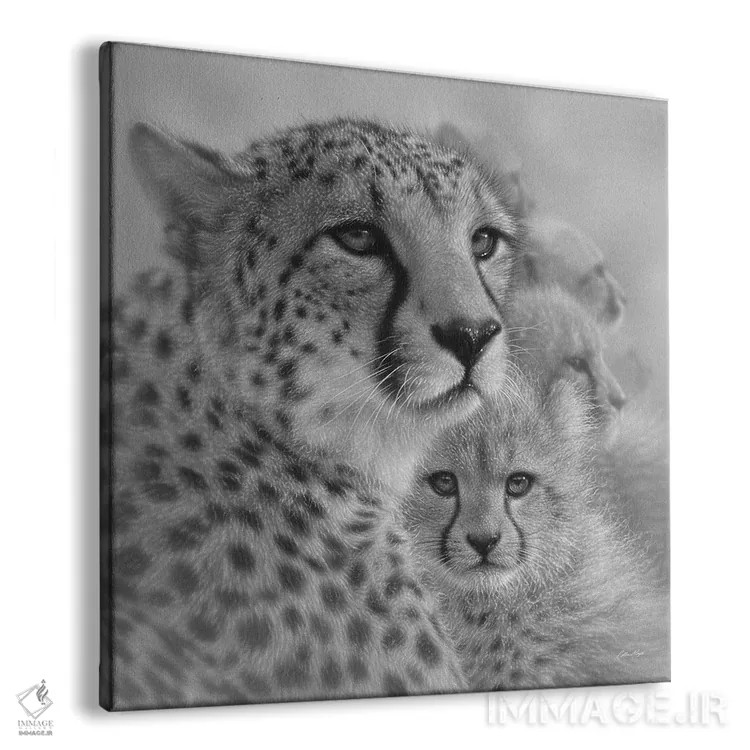 تابلو عشق مادرانه یوزپلنگ (سیاه و سفید) اثر کالین بوگل - نمای پرسپکتیو محصول