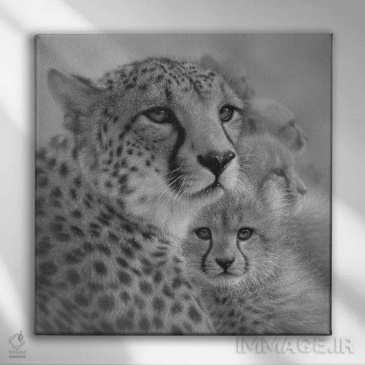 تابلو عشق مادرانه یوزپلنگ (سیاه و سفید) اثر کالین بوگل - نمای روبهرو روی دیوار