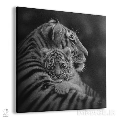 تابلو تولهببر عزیز (سیاه و سفید) اثر کالین بوگل - نمای پرسپکتیو محصول