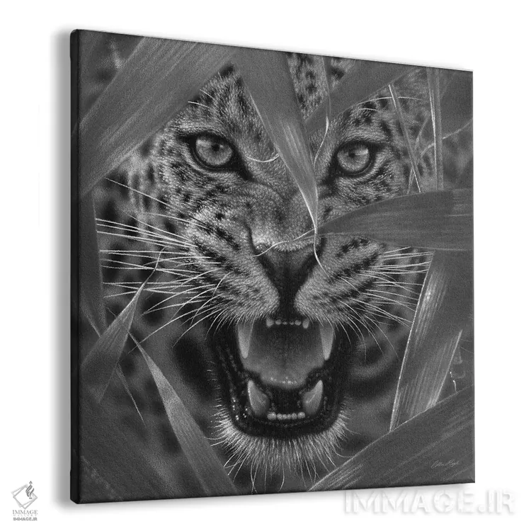 تابلو کمین جگوار (سیاه و سفید) اثر کالین بوگل - نمای پرسپکتیو محصول