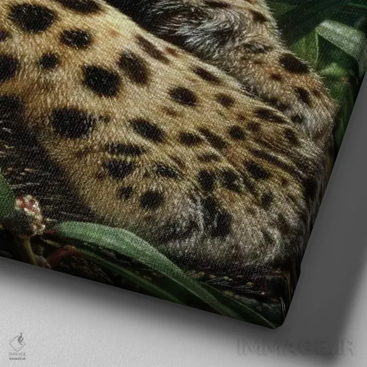 تابلو جگوار در حال استراحت اثر کالین بوگل - نمای نزدیک بافت بوم