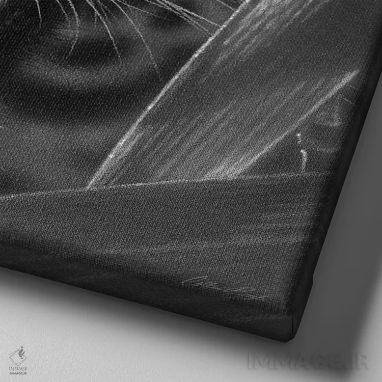 تابلو کمین جگوار (سیاه و سفید) اثر کالین بوگل - نمای نزدیک بافت بوم