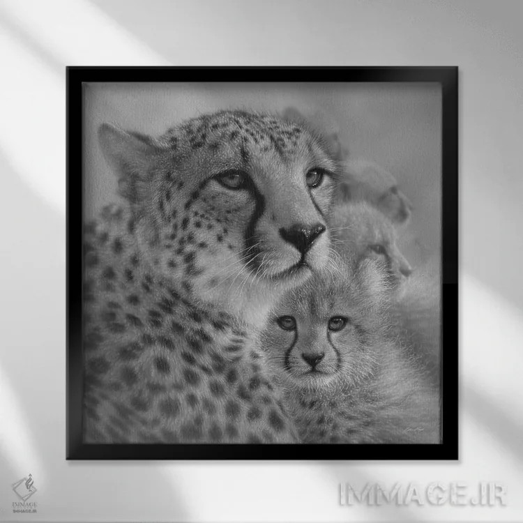 تابلو عشق مادرانه یوزپلنگ (سیاه و سفید) اثر کالین بوگل - نمای قابدار مشکی