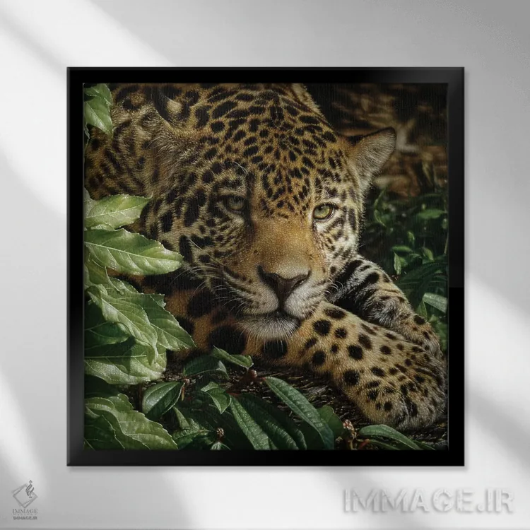 تابلو جگوار در حال استراحت اثر کالین بوگل - نمای قابدار مشکی