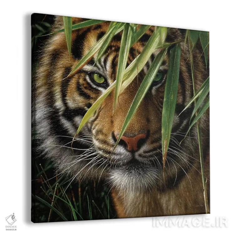 تابلو ببر اثر کالین بوگل - نمای پرسپکتیو محصول