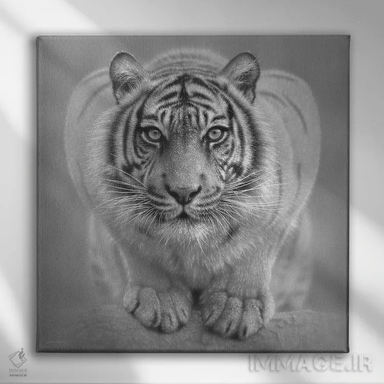 تابلو ببر سفید اثر کالین بوگل - نمای روبهرو روی دیوار